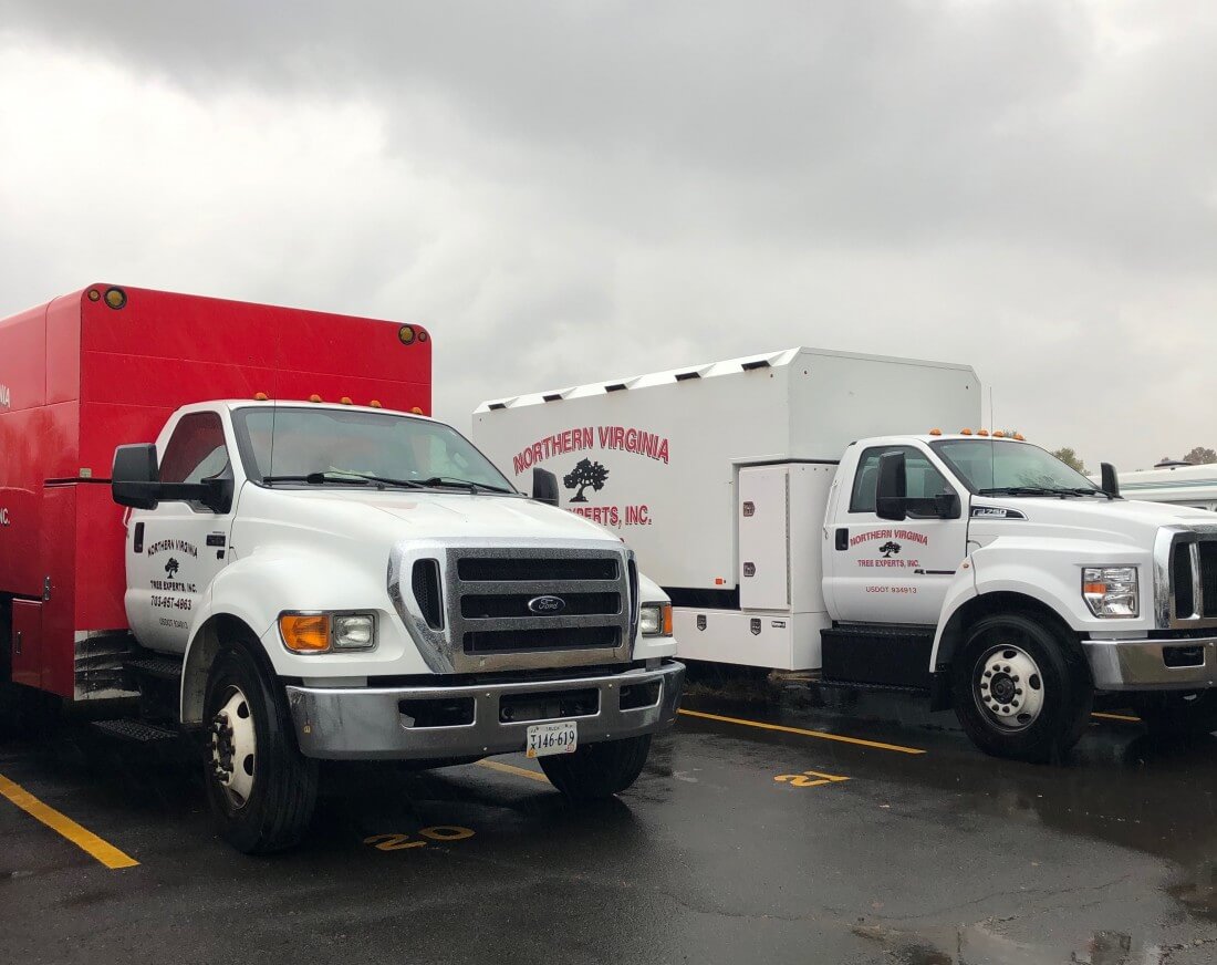 Northern Virginia Tree Experts Trucks in Chantilly, VA ready for tree trimming and removal