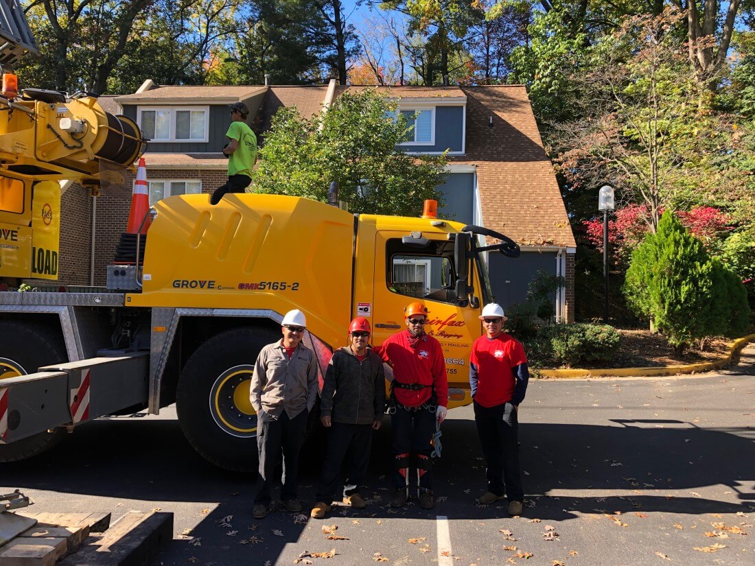 Northern Virginia Tree Experts Team