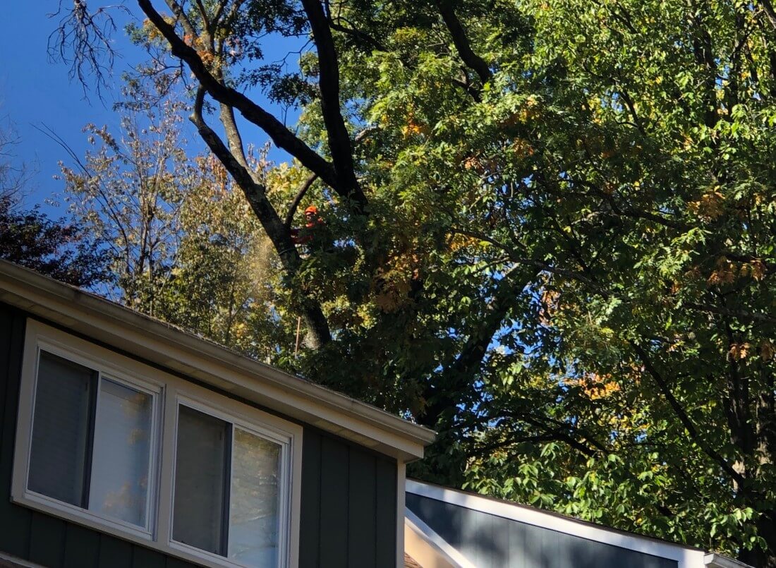 Genesis Tree Service Fairfax VA - Free Quotes 703-594-7889