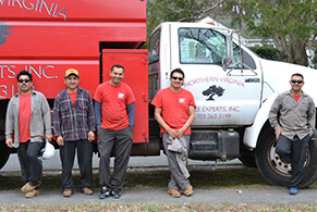 Northern Virginia Tree Experts' Tree Trimming and Removal Team