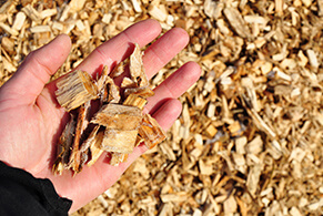 Wood Chip Delivery Services in Chantilly, VA  - services-wood-chips-hand